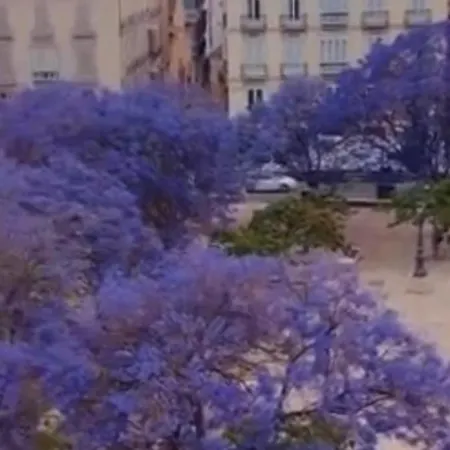Appartement Apartamento—centro Parking Gratis Grupos Málaga